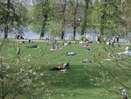 People sunbathing in a park by the waterside, photos BTM:  www.berlin-tourist-information.de