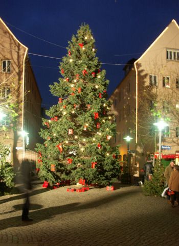 Pretty Christmas tree in Neubrandenburg; copyright: Stadtinfo Neubrandenburg 