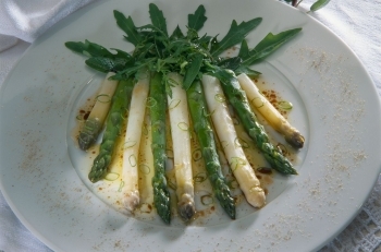 German asparagus; Käflein, Achim