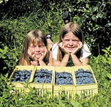 Children lying in the grass   