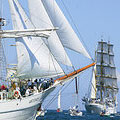 Kiel Week regatta, copyright LH Stadt Kiel