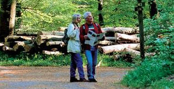 Map in hand, a couple make their way through a forest