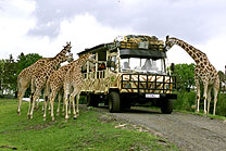 Serengeti Park