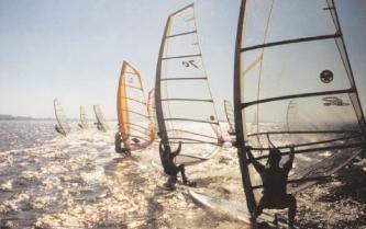 Several windsurfers in the evening sun