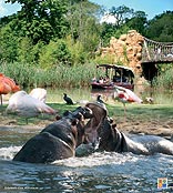 Erlebnis-Zoo Hannover