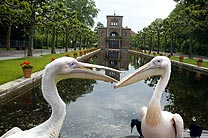 Wilhelma zoological and botanical gardens in stuttgart