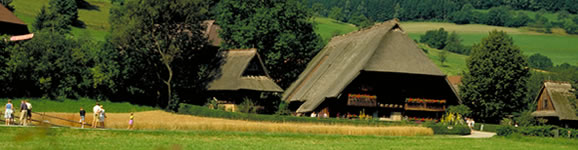 Gutachtal/Black Forest: landvogt farm, museum