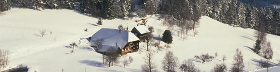 Schonach/Black Forest in the Paradise in wintertime