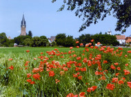 Landscape with poppies and church in the background