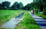 Cyclists on a path near a stream with swans