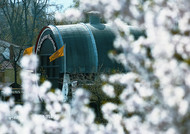 Restaurant in a giant wine barrel at blossom time