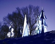 Glass trees by night