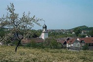 A quaint village nestled amid flower-filled meadows