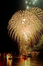 A firework display lights up the Rhine