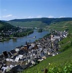 The town of Zell on the banks of the Moselle