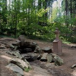 Siegfried spring in the forest