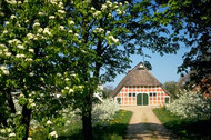 Picturesque farmyard with fruit trees in blossom