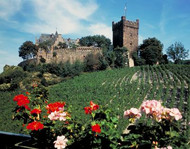 Klopp Castle in Bingen by the Rhine