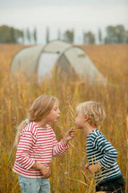 Children playing in a corn field near where they have set up camp