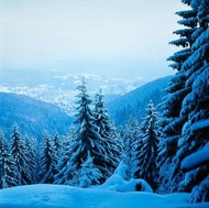 A true winter wonderland