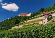 View of the Ducal Vineyard with cottage