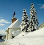 Snowy church and fir tree in the Allgäu