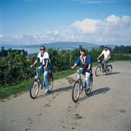 Three cyclists on Reichenau island