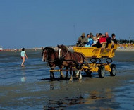 Carriage ride across the mudflats