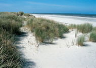 Dunes, Langeoog Tourist information