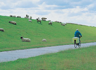 Cycling along the dike in Schilling; Wangerland Touristik GmbH; Bullik, Reinsch