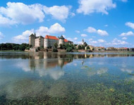 View of Hartenfels Palace and St. Mary's town church in Torgau