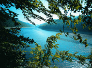 View of Rappbodetal reservoir through trees