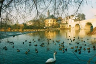Wetzlar with swan and ducks in the foreground