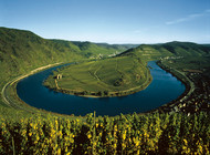 View of the Moselle loop from the vineyard terraces