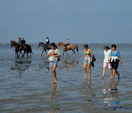 Riding and walking across the mudflats