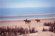 Horse riding on Borkum's North beach - Photo: Tourismus Marketing Niedersachsen GmbH