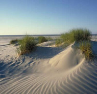 Sand dunes on the East Frisian coast
