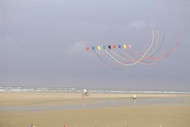 Colourful power kite display on the beach