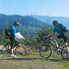 Two cyclists looking at their map with the forests of the Rennsteig trail in the background