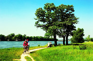 Cycling along the Rhine near Hattenheim