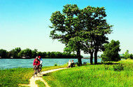 Cycling along the Rhine near Hattenheim