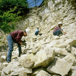 Three amateur geologists on the hunt for fossils