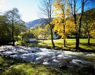 Stream running through the Simonswald Valley