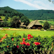 Farmhouse in the Vogtsbauernhof Open Air Museum in Gutach Valley