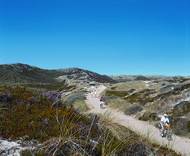 Cyclists and walkers exploring a typical feature of Sylt, the dunes