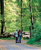 A couple walking in Kellerwald nature reserve
