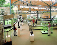 Inside the ceramics museum