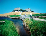 A bike ride past traditional thatched cottages