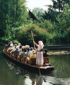 Traditional punting trip through the labyrinth of waterways in the Spree Forest