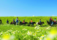 Group of children on a pony excursion